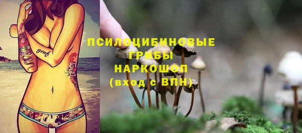 мдпв Новокубанск