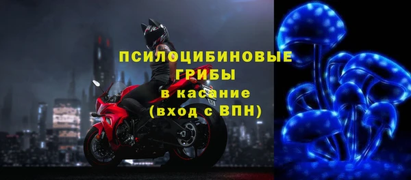 мдпв Новокубанск