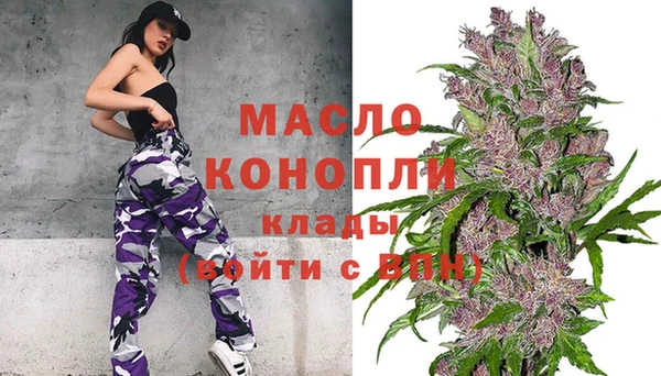 мдпв Новозыбков