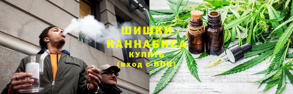 прущие крисы Нефтекумск