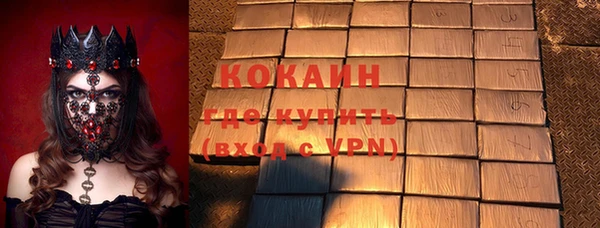 мдпв Новозыбков