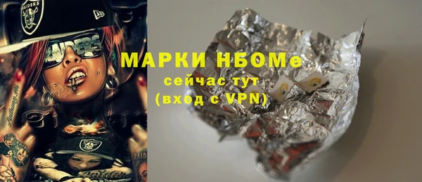 мдпв Новозыбков