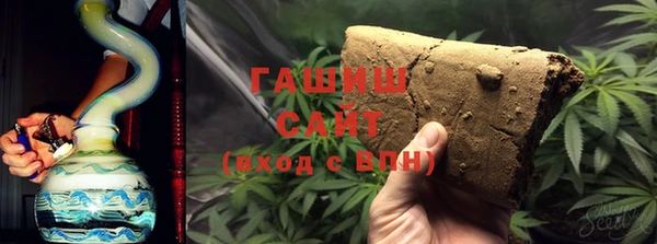 мдпв Новозыбков