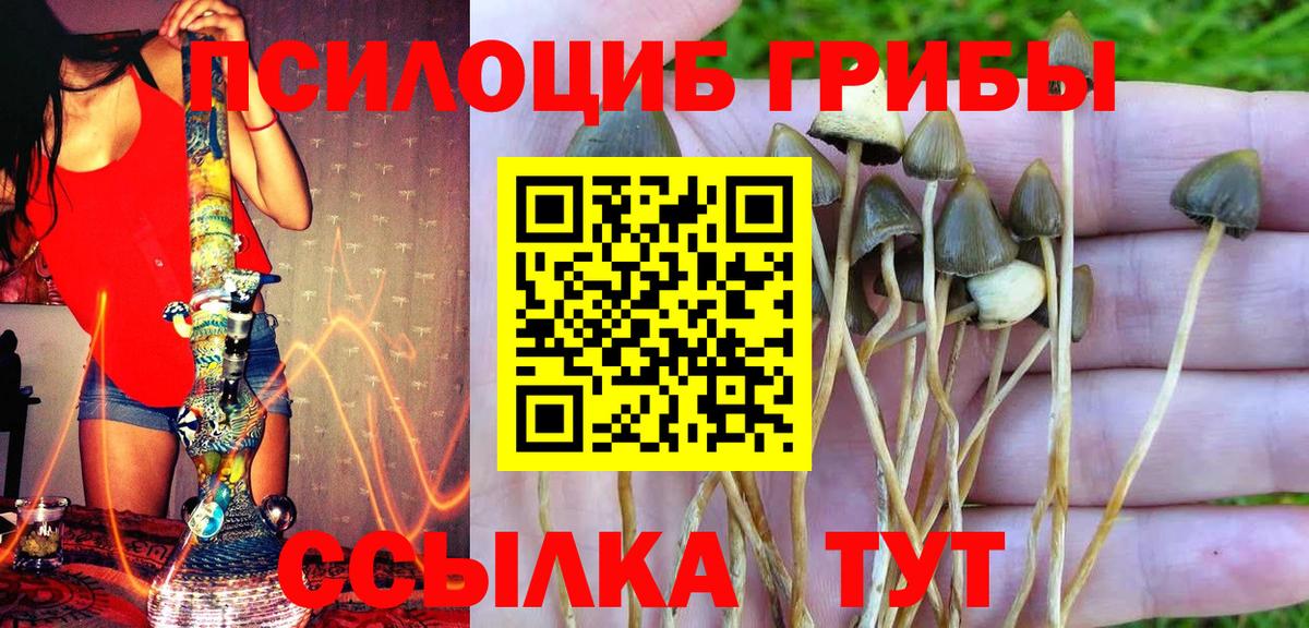 Alpha PVP Камень-на-Оби