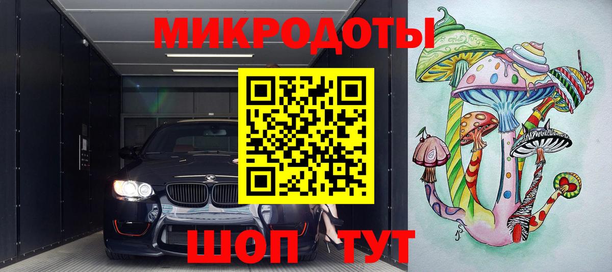 Псилоцибиновые грибы Psilocybe Камень-на-Оби
