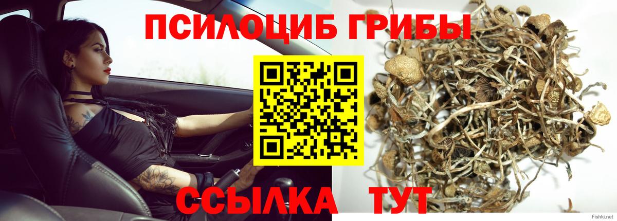 Галлюциногенные грибы мицелий  Вход с VPN  Псилоцибиновые грибы прущие грибы  где можно купить наркотик  Камень-на-Оби 