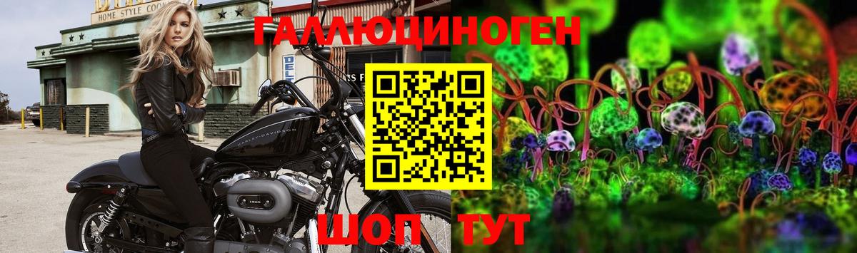 купить наркотики цена  Камень-на-Оби  Галлюциногенные грибы мухоморы 